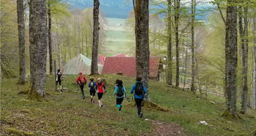 Percorrere il Cansiglio. Alla scoperta dell’Altopiano