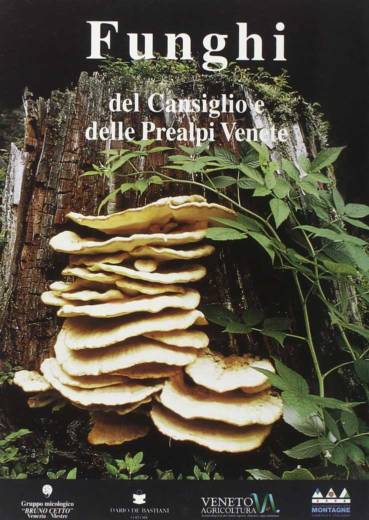 funghi-del-cansiglio