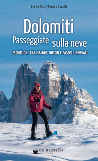 zanolli_dolomiti-passeggiate2020_978-88-8466-710-6