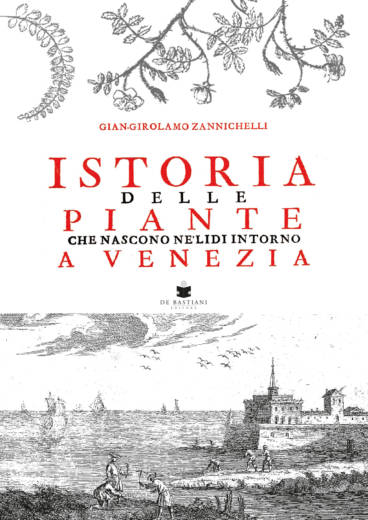 istoriapiantevenezia