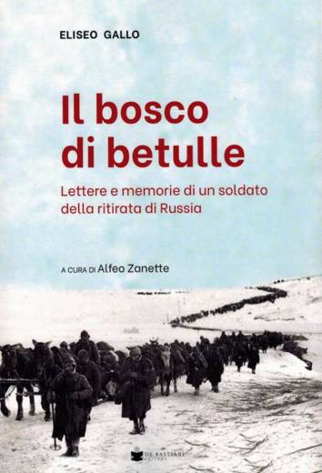 Il bosco di betulle